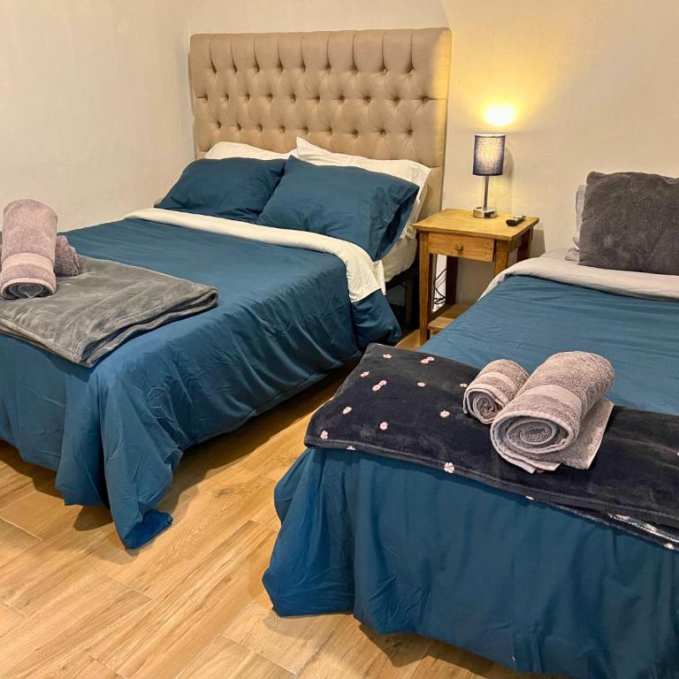 Discover Condesa Ideal Location - Standard Zimmer mit Queensize-Bett - 19
