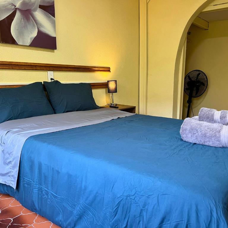 Discover Condesa Ideal Location - Doppelzimmer mit eigenem Bad - 10