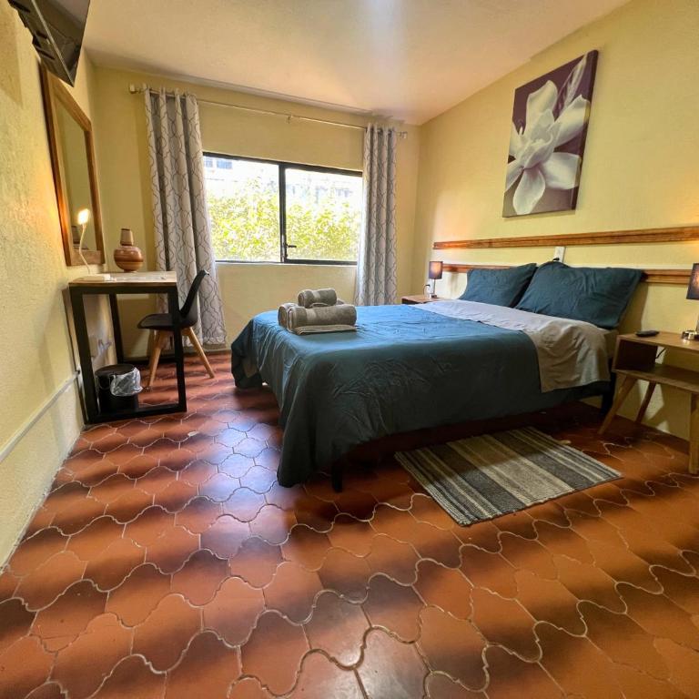 Discover Condesa Ideal Location - Doppelzimmer mit eigenem Bad - 9