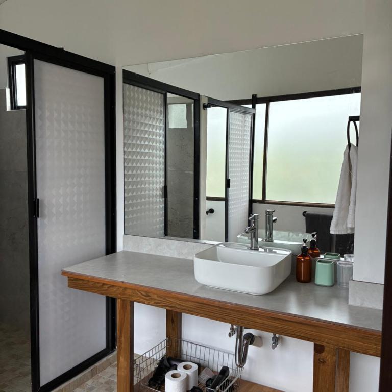 Casa Washington centro de monterrey - Standard Apartment - 8
