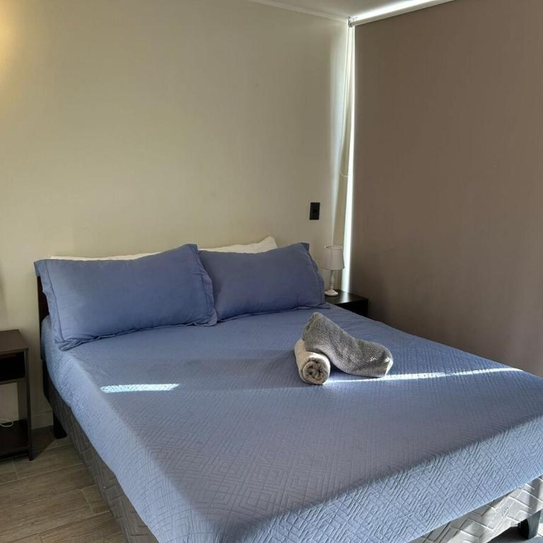Departamento en Domeyko, a pasos de Movistar Arena y Club Hípico - Apartamento de 1 dormitorio - 17