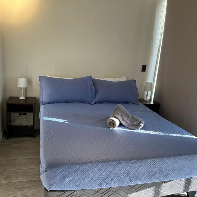 Departamento en Domeyko, a pasos de Movistar Arena y Club Hípico - Apartamento de 1 dormitorio - 23