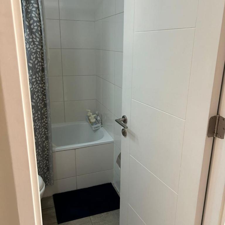 Departamento en Domeyko, a pasos de Movistar Arena y Club Hípico - Apartamento de 1 dormitorio - 30