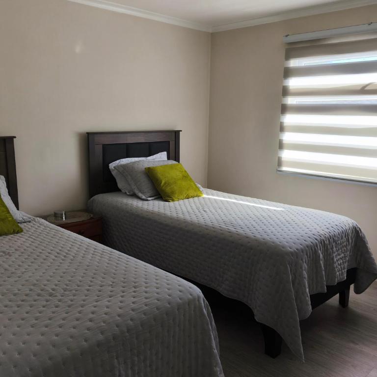 Angol centro - Habitación Doble - 2 camas - 3