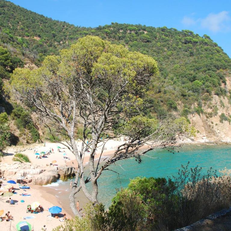 Holiday Home in Sant Feliu near Beach - Casa Vacacional de 3 dormitorios - 35