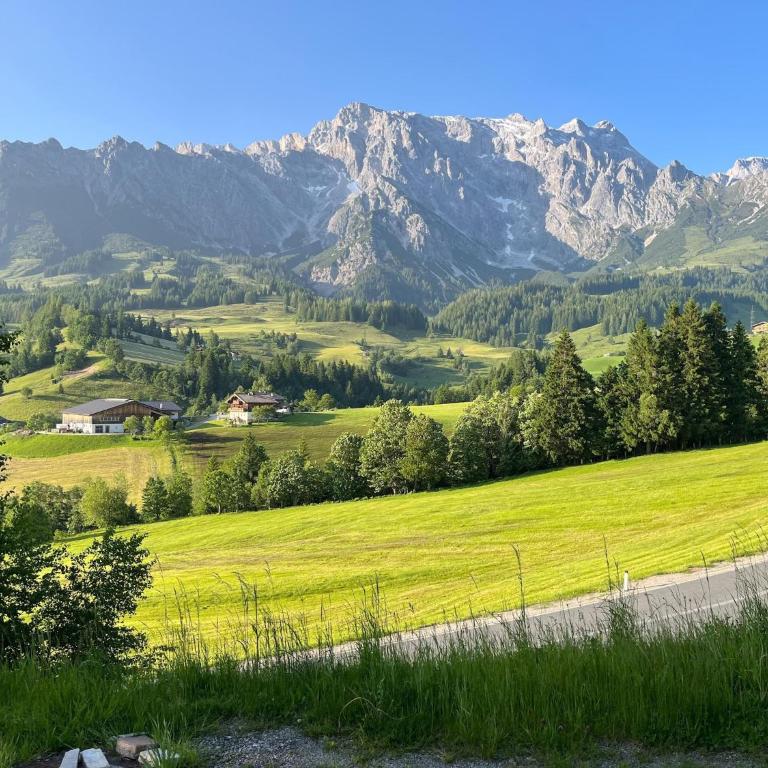 Chalet in Dienten by Ski Slopes & Wellness - Apartment mit 1 Schlafzimmer - 17