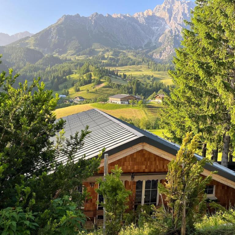 Chalet in Dienten by Ski Slopes & Wellness - Apartment mit 1 Schlafzimmer - 25