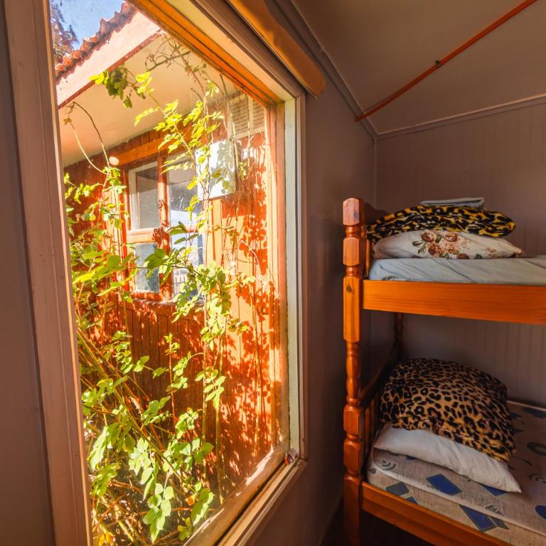 Hostel Patagonia Backpackers - Bunk Bed in Mixed Dormitory Room - 10