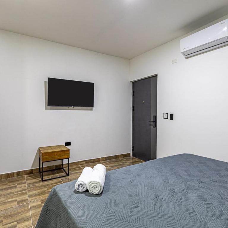 Hotel Radix Living - Estudio Estándar - 5