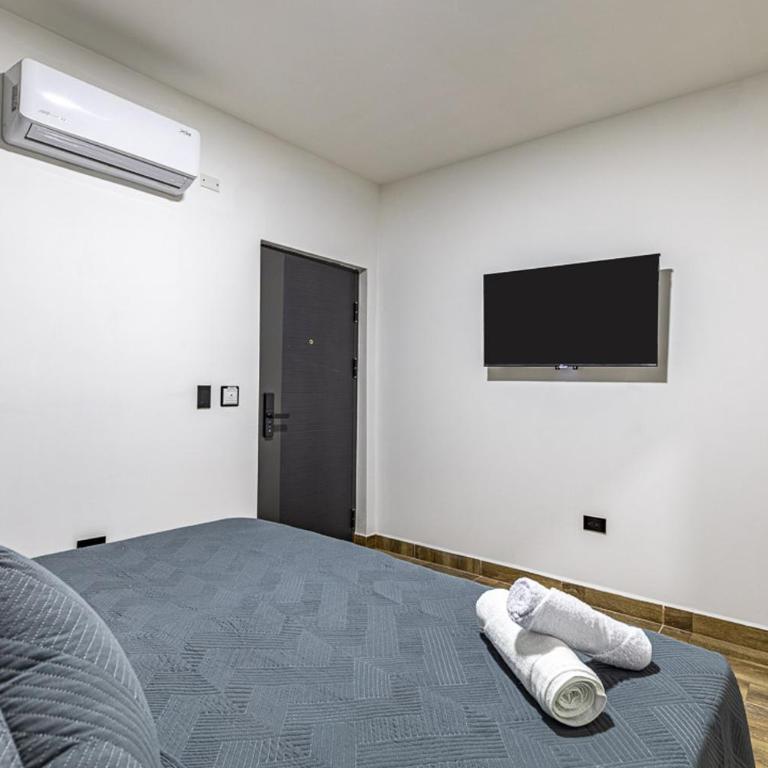 Hotel Radix Living - Habitación Deluxe - 1 cama grande - 10