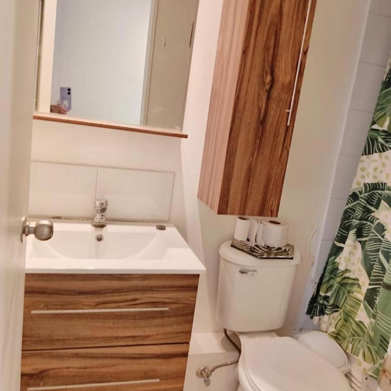 Departamento ejecutivo 3D-1B Copiapó - Apartamento de 3 dormitorios con balcón - 26