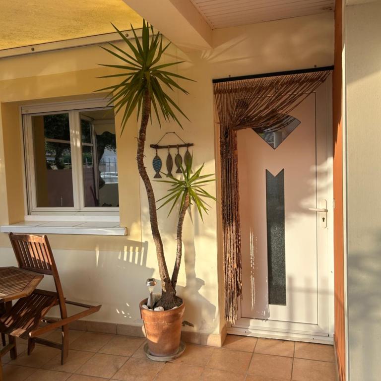 Les Jardins de la Méditerranée - Maison 2 Chambres - 4