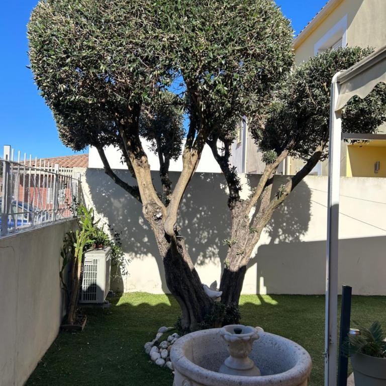 Les Jardins de la Méditerranée - Maison 2 Chambres - 5