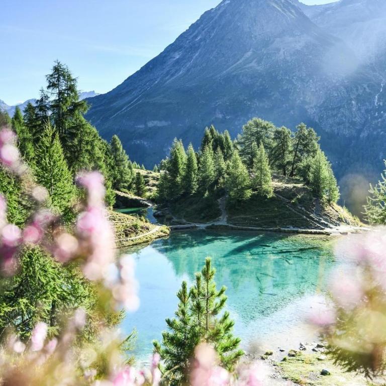 Le Raccard de Louise - Val d'Hérens, Valais - Chalet mit 1 Schlafzimmer - 7