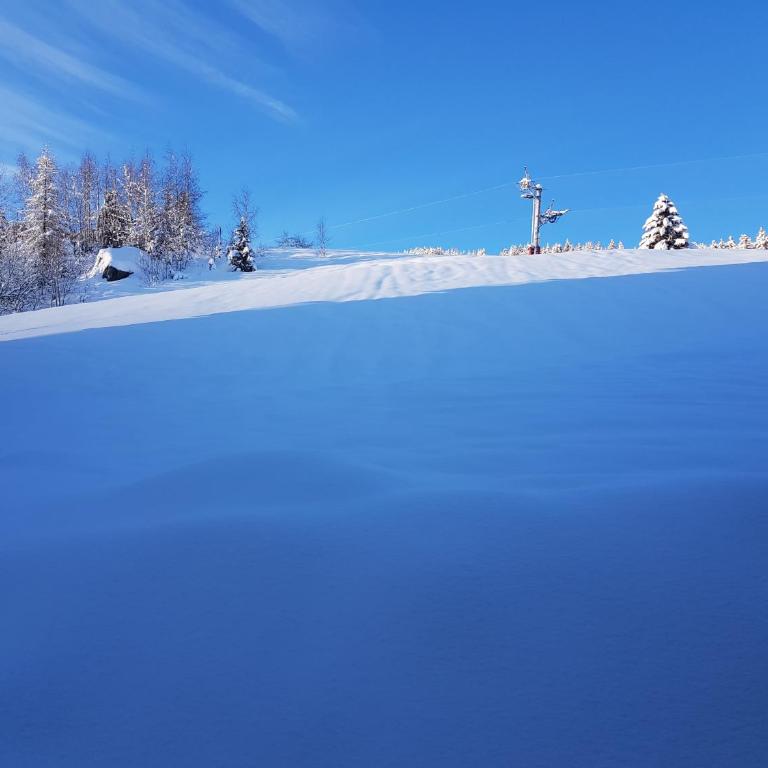 ski au pied, 3ch 2Sdb Garage Terrasse - Appartement - Vue sur Jardin - 8