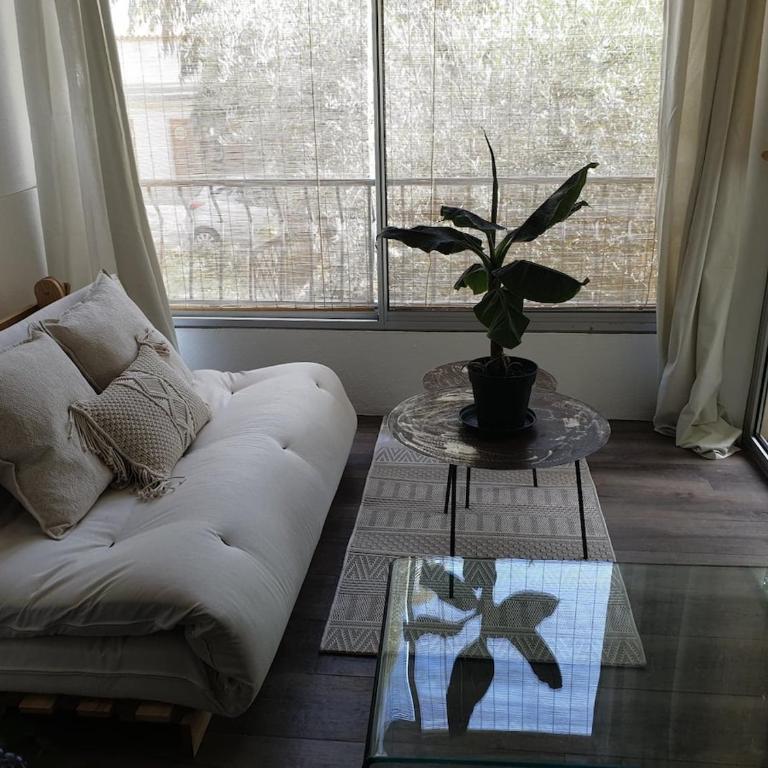 Cocon du Sud - One-Bedroom Apartment - 5