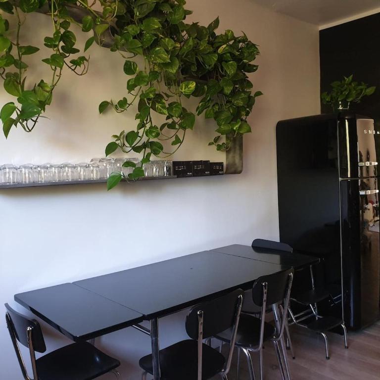 Cocon du Sud - One-Bedroom Apartment - 6