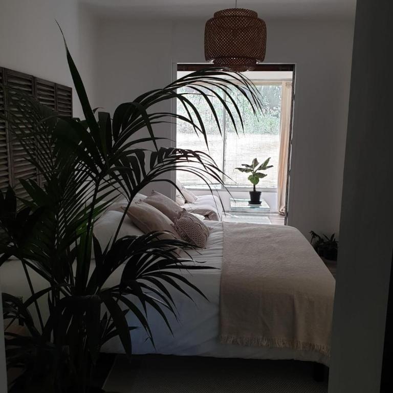Cocon du Sud - One-Bedroom Apartment - 4