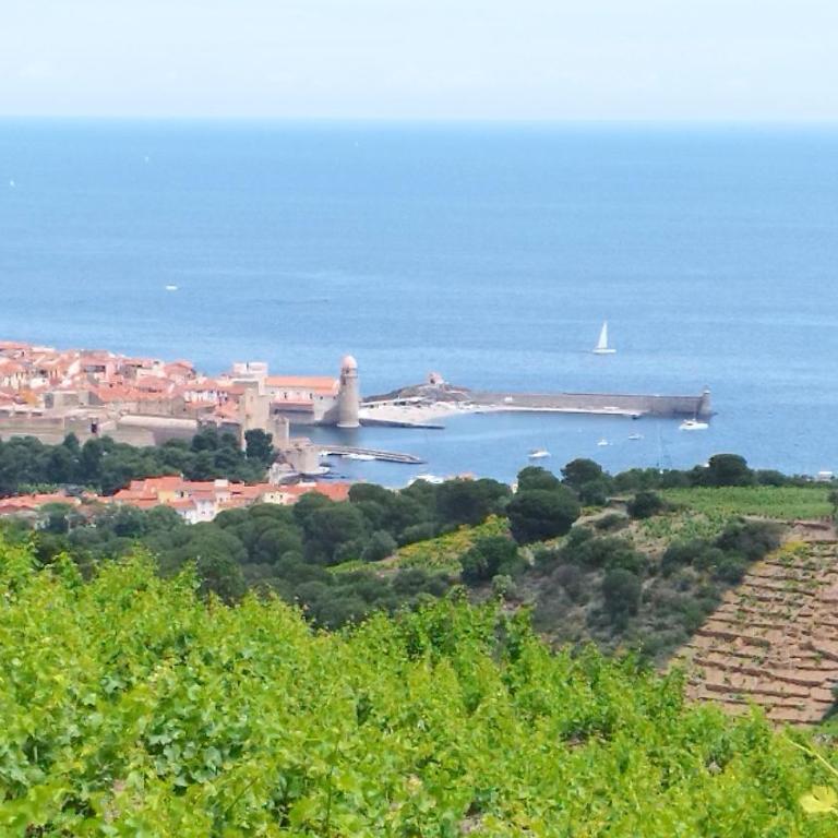 Centre historique, 50 m plage, Calme, Clim, Wifi - Appartamento con 1 Camera da Letto - 29