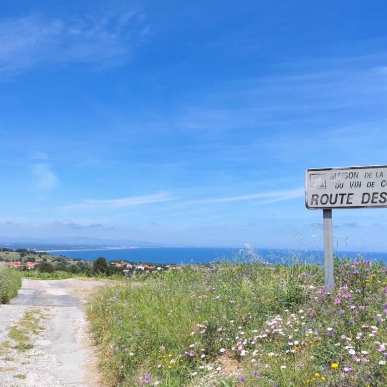 Centre historique, 50 m plage, Calme, Clim, Wifi - Appartamento con 1 Camera da Letto - 27