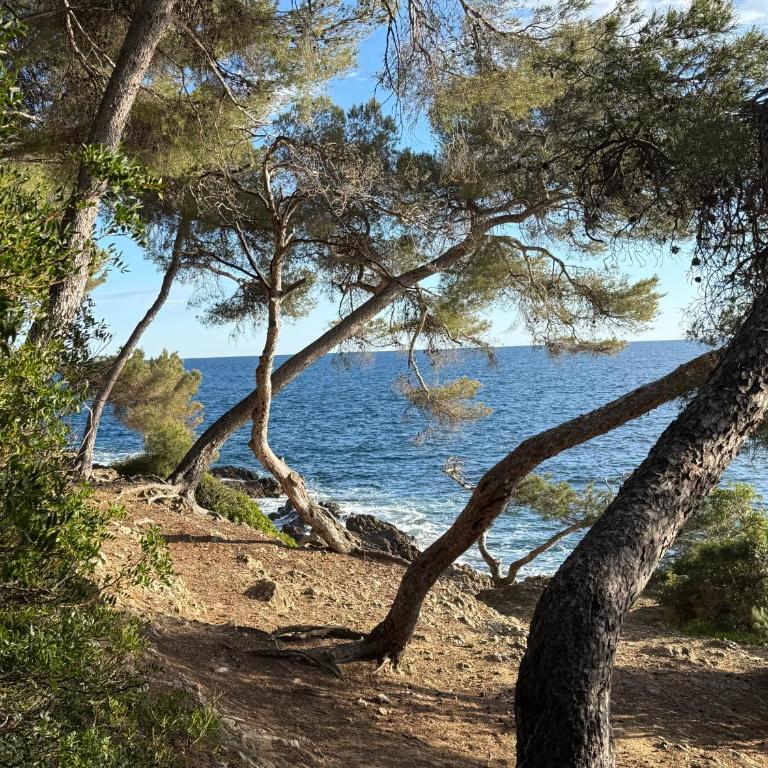 Saint Jean Cap Ferrat grand Studio avec terrasse - Studio avec Vue sur Jardin - 24