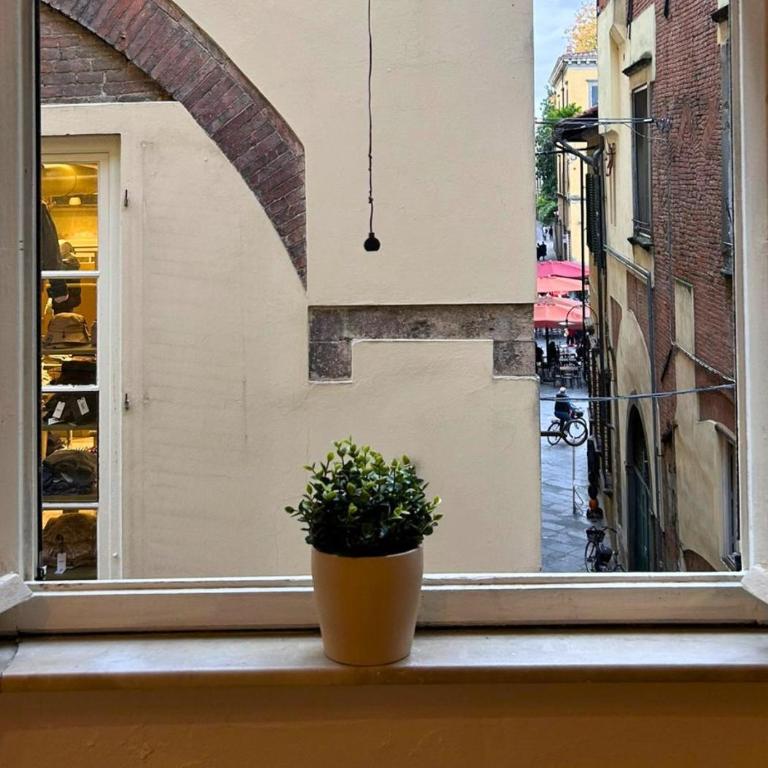 Appartamento Nanni nel cuore del centro storico di Lucca - Appartamento Standard con 2 Camere da Letto - 2
