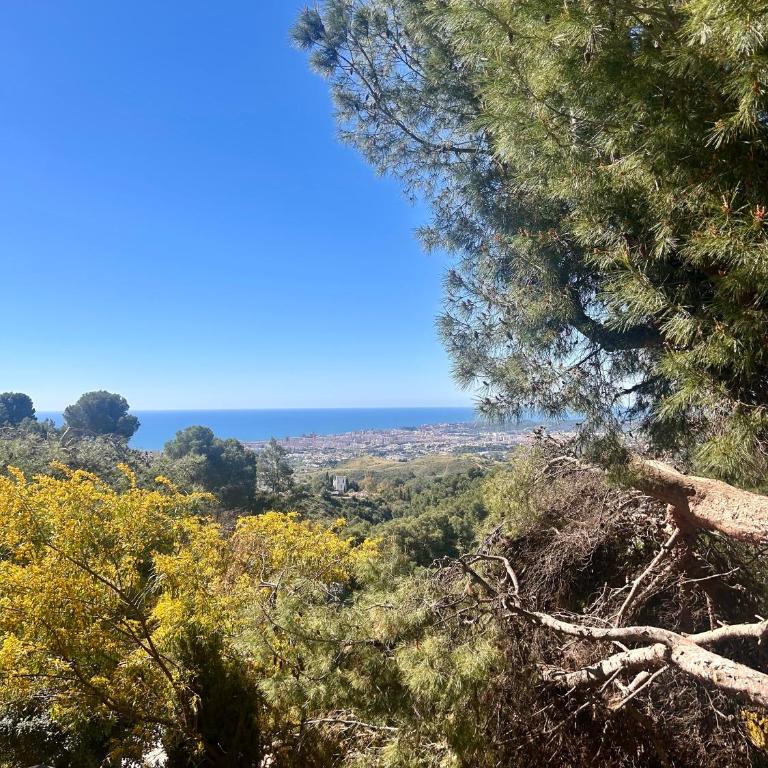 Cosy studio in mijas pueblos hills - Apartamento de 1 dormitorio - 9