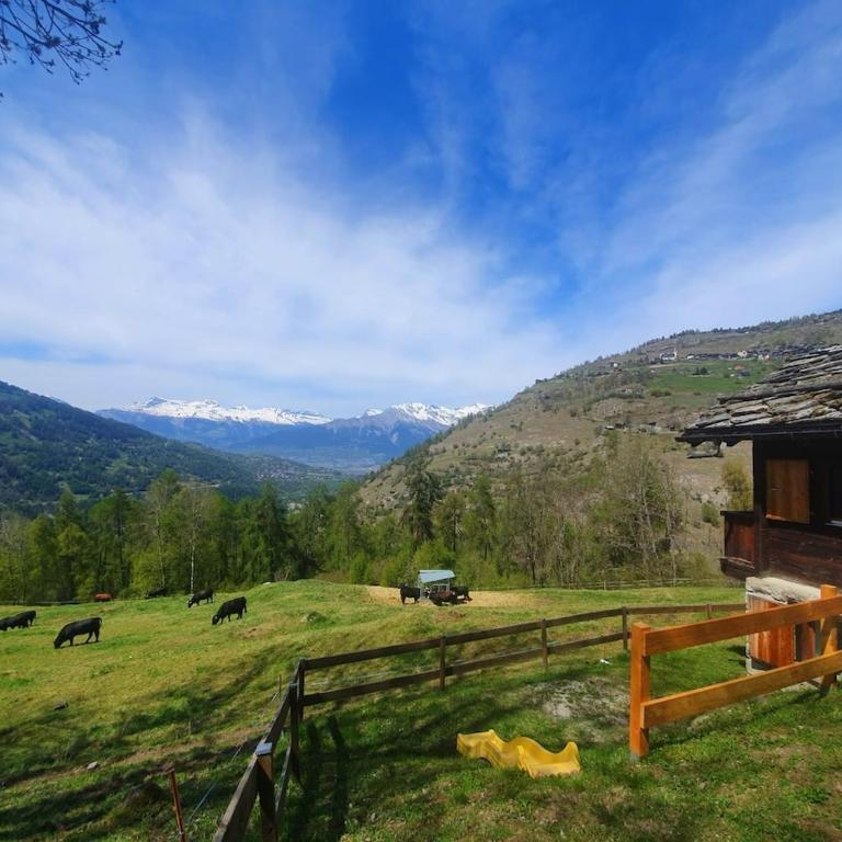 Magnifique grange rénovée cosy Le Muzet, Val d'Hérens - Chalet mit 1 Schlafzimmer - 20