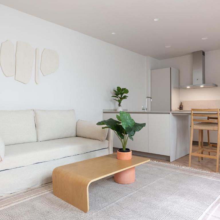 Apartamentos Boutique Casco Histórico - Apartamento Deluxe de 1 dormitorio - 14