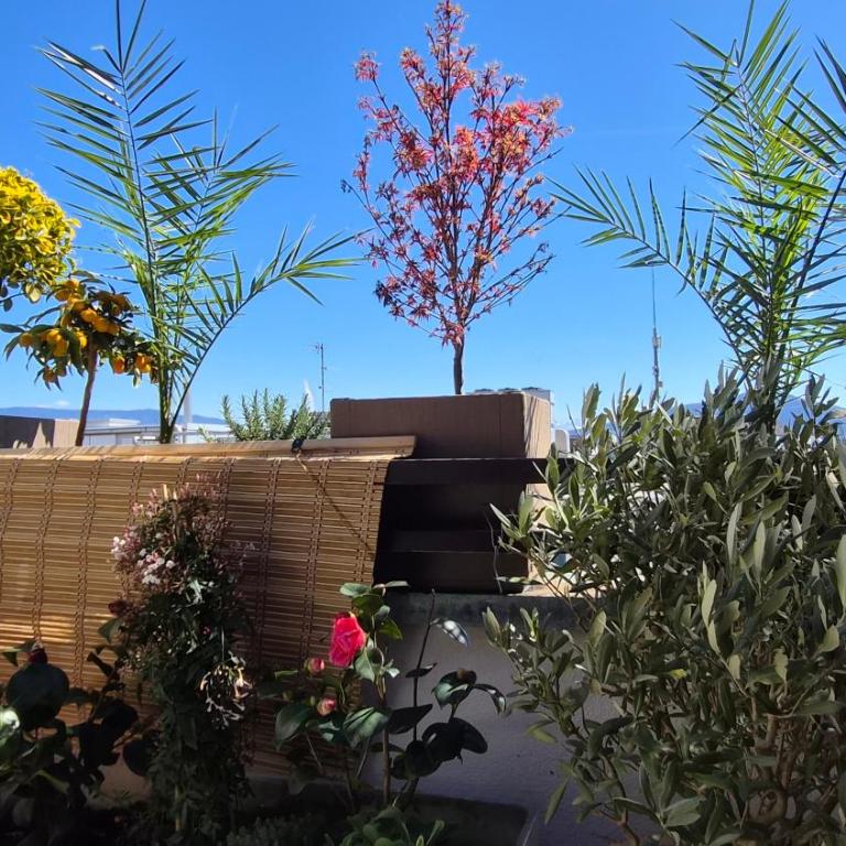 Sunny Terrace Oasis with Mont Blanc View in Central Geneva - Appartement 2 Chambres - 3
