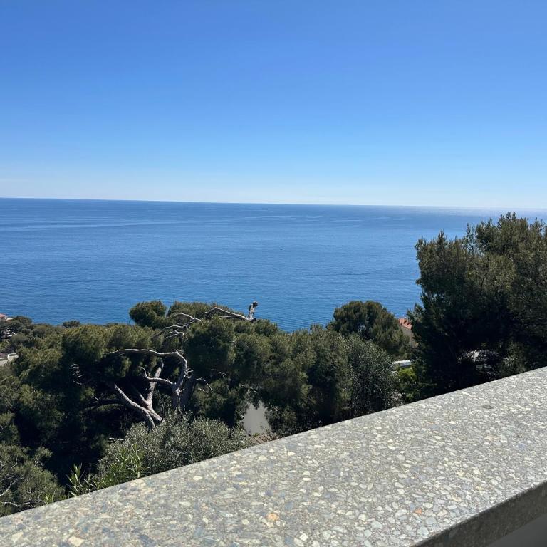 COSTA PLANA COLLECTION - Cap d'Ail - Monaco - Appartement 1 Chambre avec Vue sur la Mer et Terrasse - 8