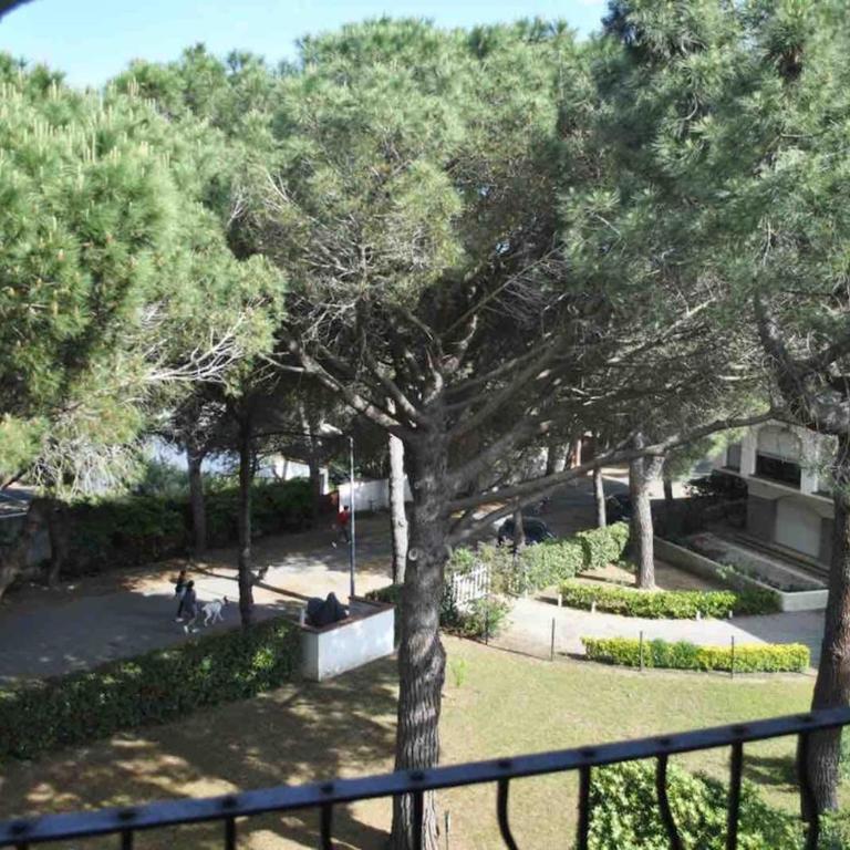 Le patio Céleste - Appartement 1 Chambre - 21