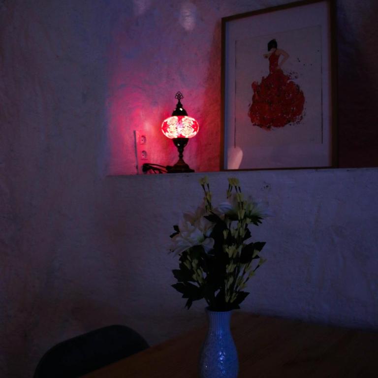 Encantadora Cueva, Paseo de los Tristes Granada - One-Bedroom Apartment - 22