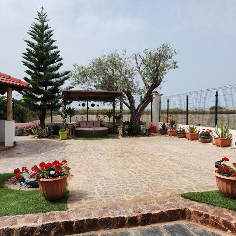 Villa in Valencia's natural park - Vacation Home - 31