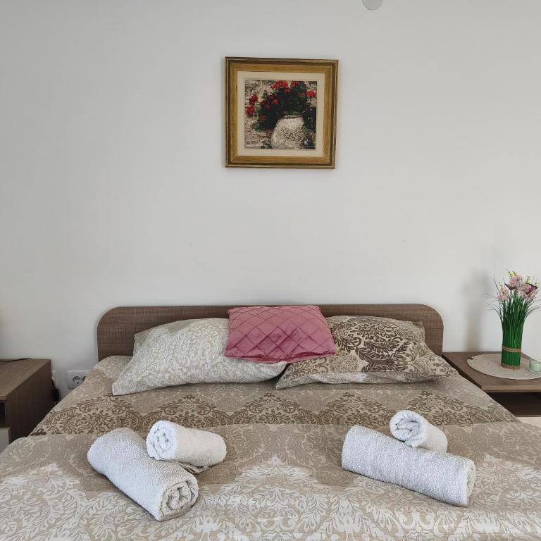 Studio Dimitrije 14 - Apartman sa 1 Spavaćom Sobom - 4
