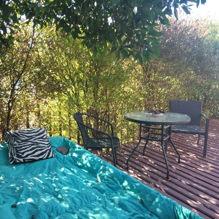 Casa concon mascotas estacionamiento - One-Bedroom House - 5