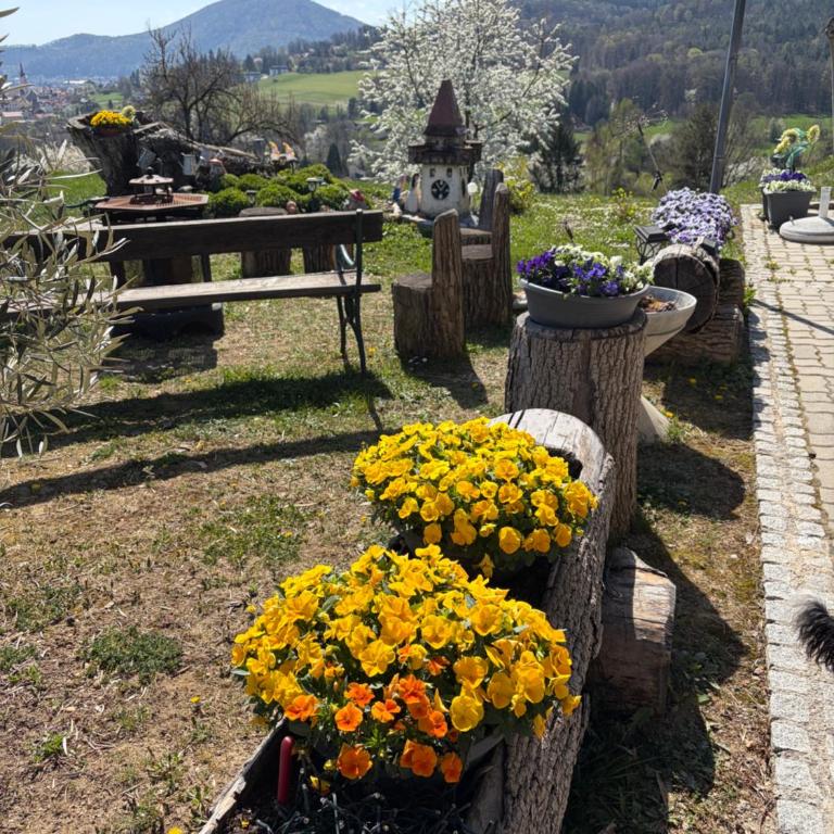 Uriges Bauernhaus mit Blick auf Graz - Chalet - 8