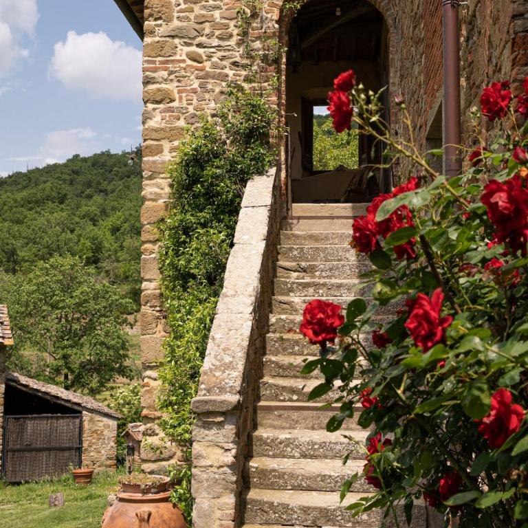 Badia Roccavo - Villa - 2