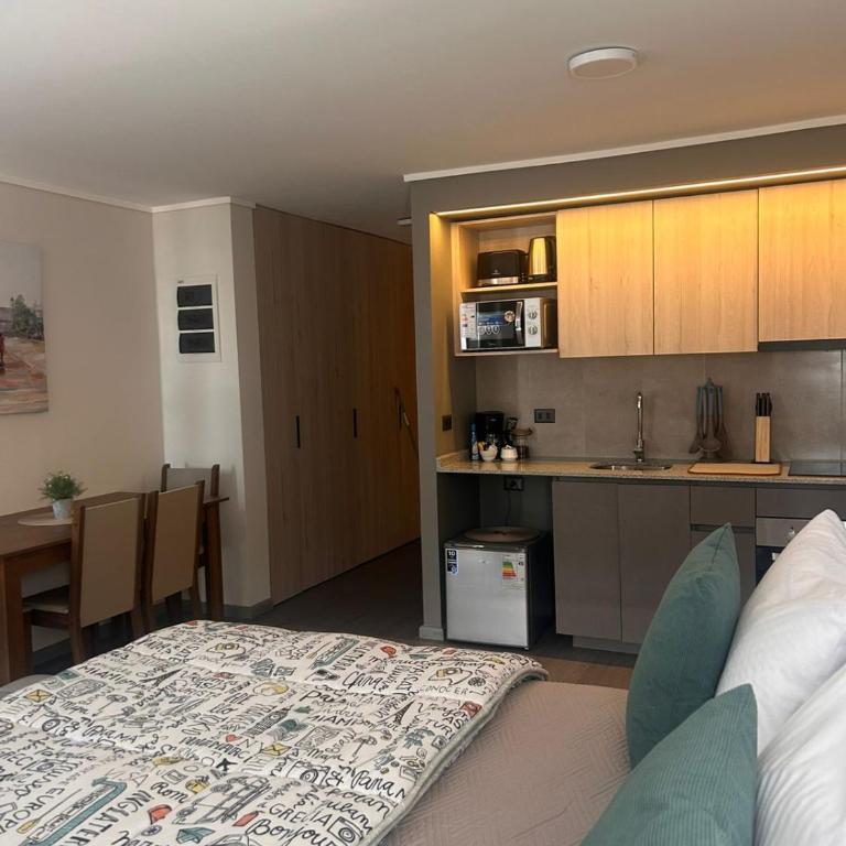 DEPARTAMENTO ESTUDIO CERCA DE MOVISTAR ARENA,FANTASILANDIA y CLUB HIPICO - One-Bedroom Apartment - 25