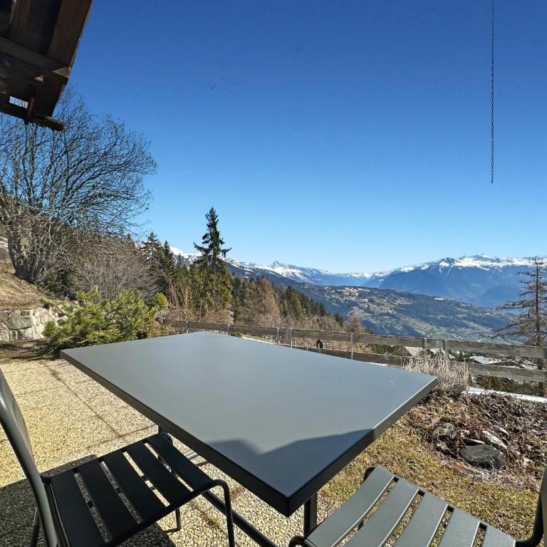 PO Petite Ourses Suite - Anzere Slopeside - Swiss Alp - Studio mit Bergblick - 10