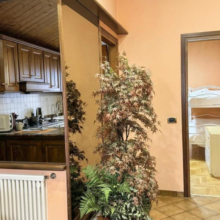 Quadrio 6 - appartamento con vista sul Castello - Apartment - 16