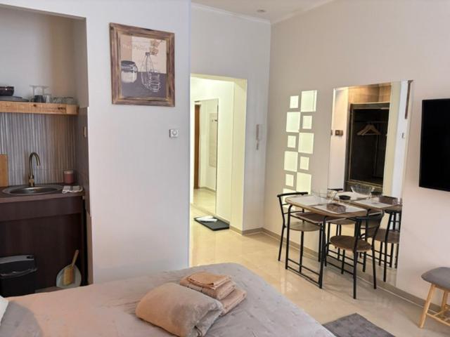 Teatar Rooms Subotica 3A - Large Double Room - 6