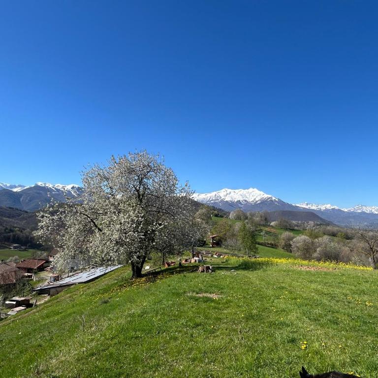 Appartamento a Paganotti - Appartement 1 Chambre - 3