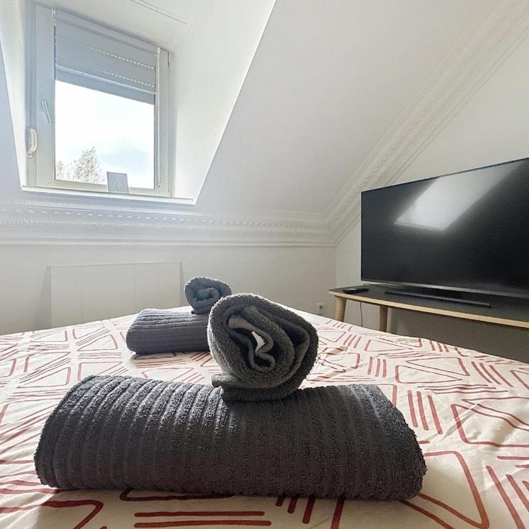 Appartement 3 chambres à Mulhouse en Duplex - Appartamento con 3 Camere da Letto - 19