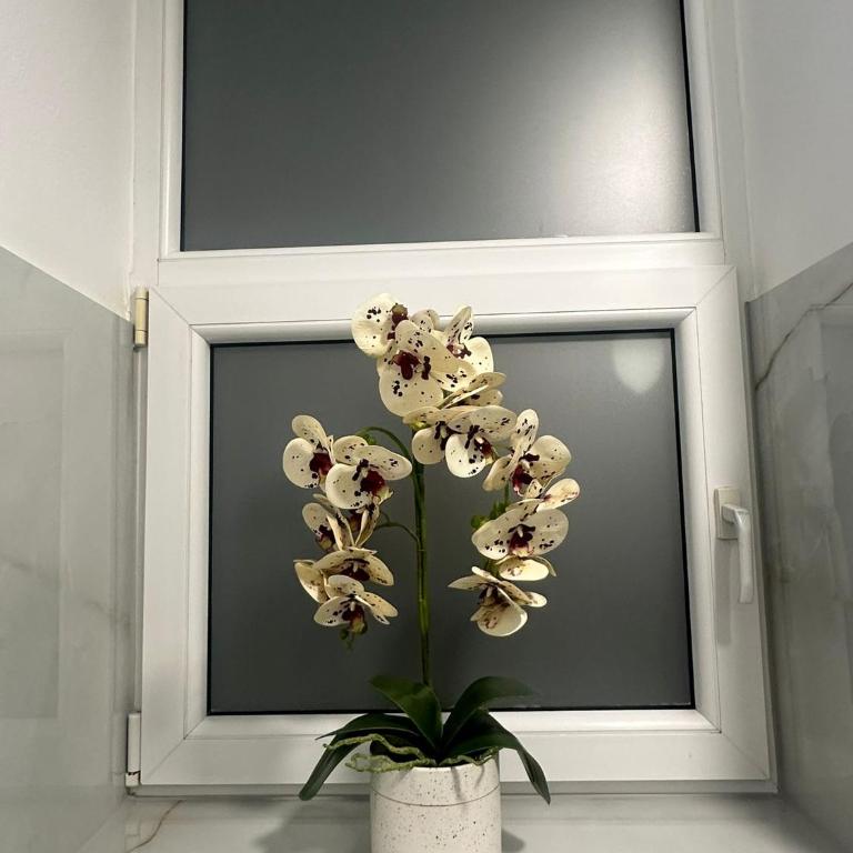 A&E Apartments Emir - Apartman sa 1 Spavaćom Sobom - 19