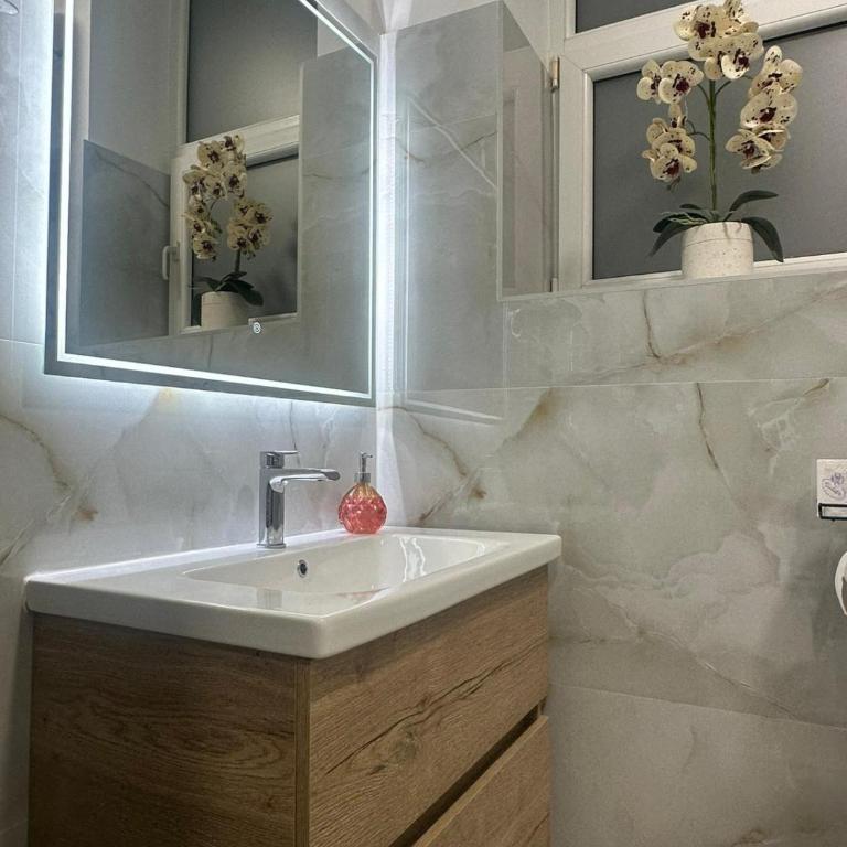 A&E Apartments Emir - Apartman sa 1 Spavaćom Sobom - 7