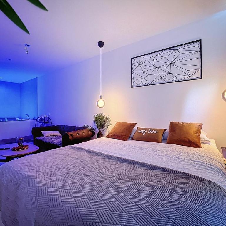 La Suite d'Ysis - Jacuzzi - Saint-Etienne - Apartment mit 1 Schlafzimmer - 1