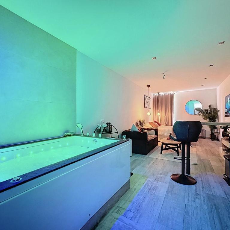 La Suite d'Ysis - Jacuzzi - Saint-Etienne - Apartment mit 1 Schlafzimmer - 21