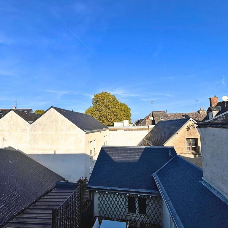 Au Coeur d'Amboise - Terrasse privée/climatisation - Apartamento de 2 dormitorios con terraza - 16