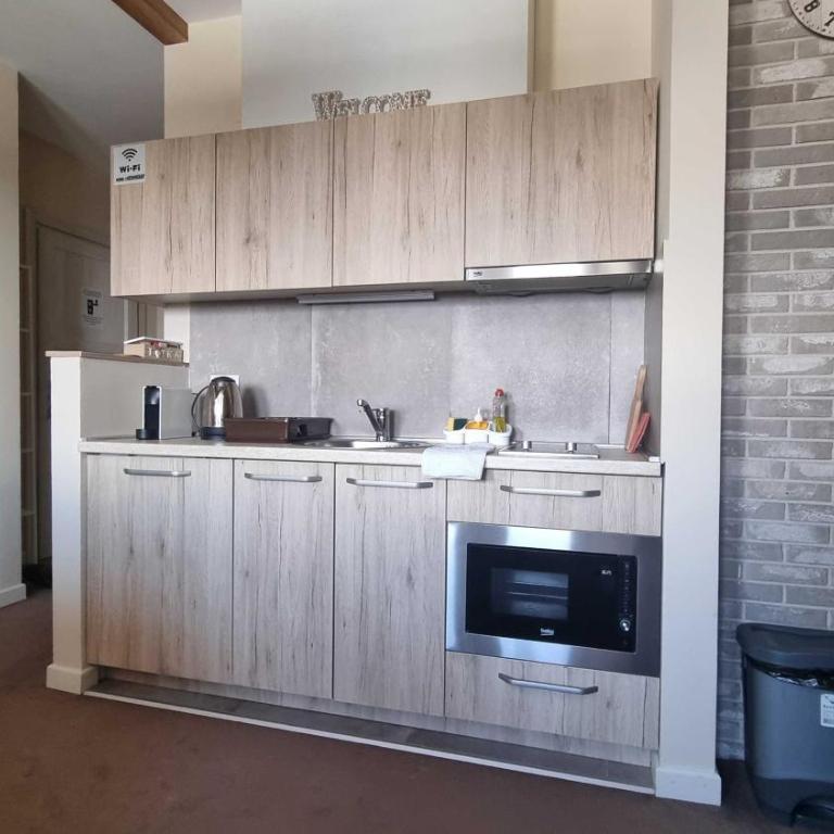 FEMI Kopaonik Apartment, Župa Aparthotel, Kopaonik Center - Apartman sa 1 Spavaćom Sobom - 14